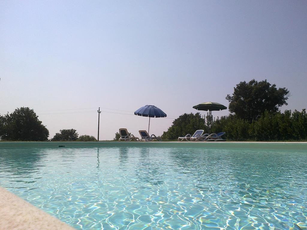 Agriturismo Monte Dell'Olmo Тревиньяно-Романо Экстерьер фото